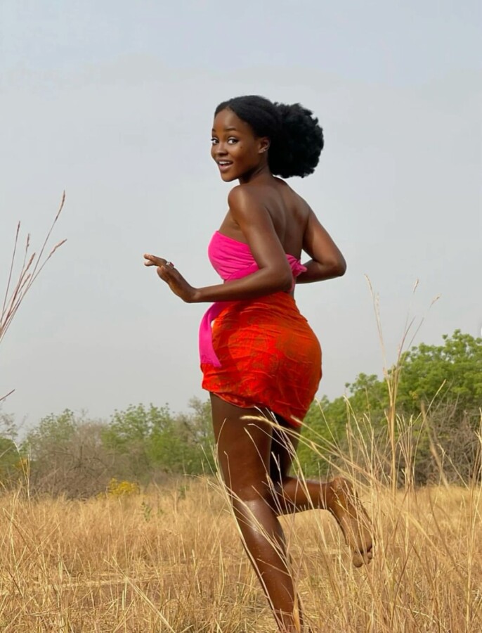 Importance des bayas africains